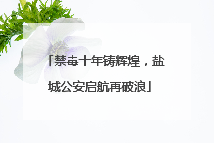 禁毒十年铸辉煌，盐城公安启航再破浪