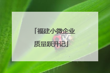 福建小微企业质量跃升记