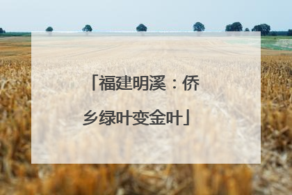 福建明溪：侨乡绿叶变金叶