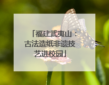 福建武夷山：古法造纸非遗技艺进校园