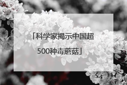科学家揭示中国超500种毒蘑菇