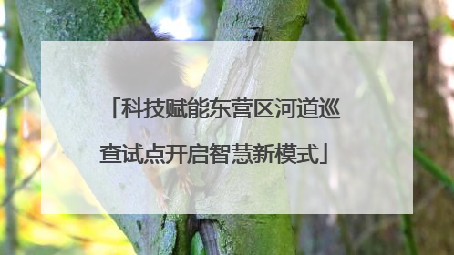 科技赋能东营区河道巡查试点开启智慧新模式