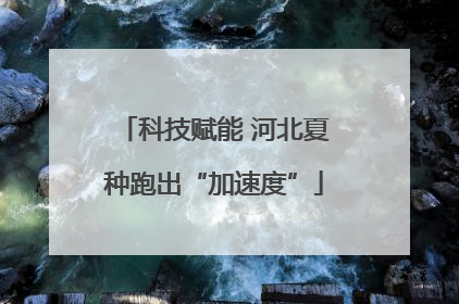 科技赋能 河北夏种跑出“加速度”