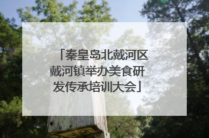 秦皇岛北戴河区戴河镇举办美食研发传承培训大会