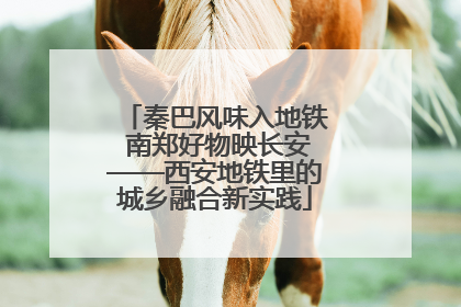 秦巴风味入地铁 南郑好物映长安——西安地铁里的城乡融合新实践