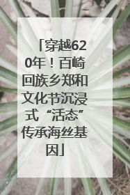 穿越620年！百崎回族乡郑和文化节沉浸式“活态”传承海丝基因