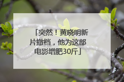 突然！黄晓明新片撤档，他为这部电影增肥30斤