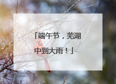 端午节，芜湖中到大雨！