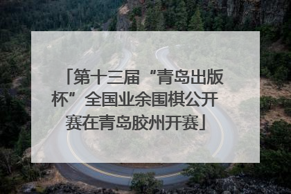 第十三届“青岛出版杯”全国业余围棋公开赛在青岛胶州开赛