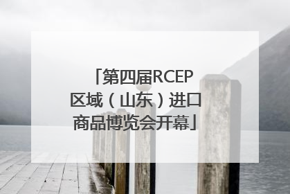 第四届RCEP区域（山东）进口商品博览会开幕