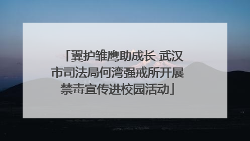翼护雏鹰助成长 武汉市司法局何湾强戒所开展禁毒宣传进校园活动
