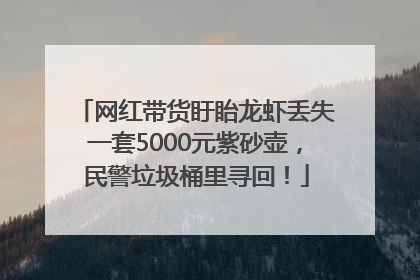 网红带货盱眙龙虾丢失一套5000元紫砂壶，民警垃圾桶里寻回！
