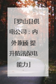 罗山县供电公司：内外兼顾 提升防汛保电能力
