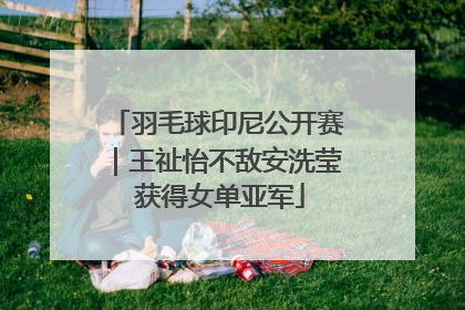 羽毛球印尼公开赛｜王祉怡不敌安洗莹 获得女单亚军
