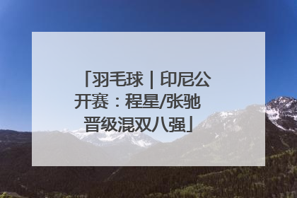 羽毛球｜印尼公开赛：程星/张驰晋级混双八强