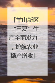 羊山新区“三夏”生产全面发力，护航农业稳产增收