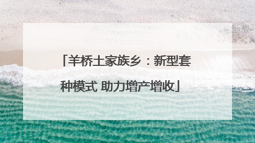 羊桥土家族乡：新型套种模式 助力增产增收