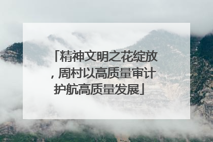 精神文明之花绽放，周村以高质量审计护航高质量发展