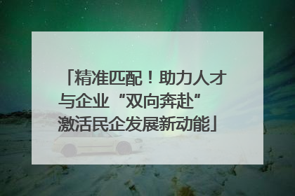精准匹配！助力人才与企业“双向奔赴” 激活民企发展新动能
