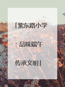 紫东路小学：品味端午 传承文明
