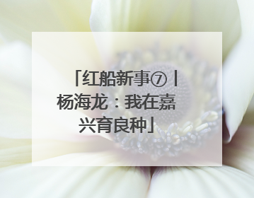 红船新事⑦丨杨海龙：我在嘉兴育良种