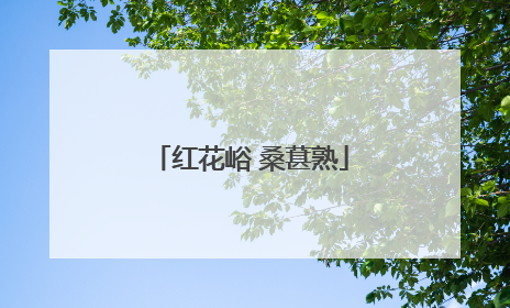 红花峪 桑葚熟