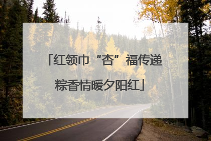红领巾“杏”福传递 粽香情暖夕阳红