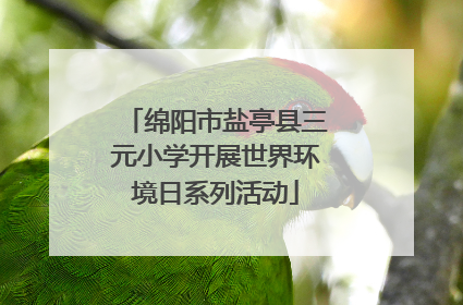 绵阳市盐亭县三元小学开展世界环境日系列活动