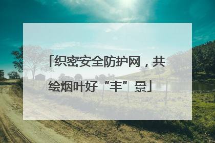 织密安全防护网，共绘烟叶好“丰”景