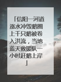 信阳一河道涨水冲毁鹅圈上千只鹅被卷入洪流，当地蓝天救援队一小时赶鹅上岸