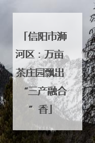 信阳市浉河区：万亩茶庄园飘出“三产融合”香