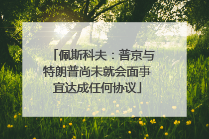 佩斯科夫：普京与特朗普尚未就会面事宜达成任何协议