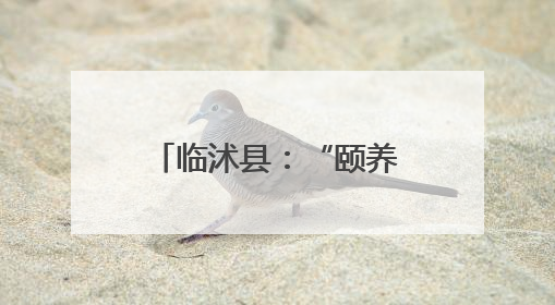 临沭县：“颐养工程”绘就老党员幸福养老新画卷
