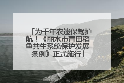 为千年农遗保驾护航！《丽水市青田稻鱼共生系统保护发展条例》正式施行