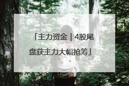 主力资金｜4股尾盘获主力大幅抢筹