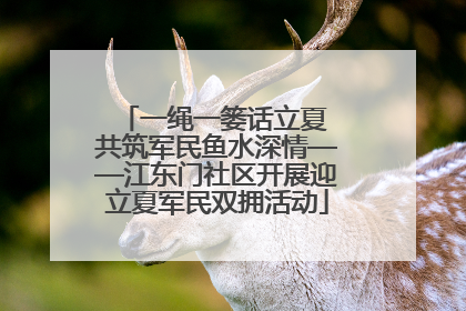 一绳一篓话立夏 共筑军民鱼水深情——江东门社区开展迎立夏军民双拥活动
