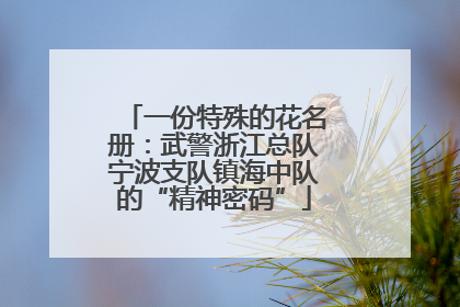 一份特殊的花名册：武警浙江总队宁波支队镇海中队的“精神密码”