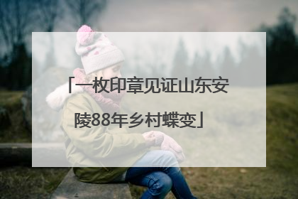 一枚印章见证山东安陵88年乡村蝶变