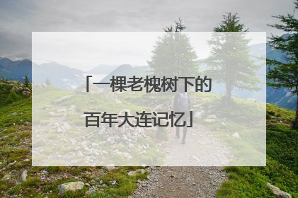 一棵老槐树下的百年大连记忆