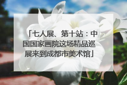 七人展、第十站：中国国家画院这场精品巡展来到成都市美术馆