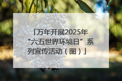 万年开展2025年“六五世界环境日”系列宣传活动（图）