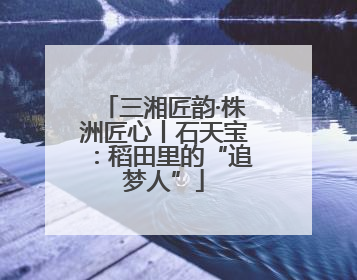 三湘匠韵·株洲匠心丨石天宝：稻田里的“追梦人”