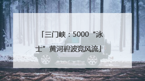 三门峡：5000“泳士”黄河碧波竞风流