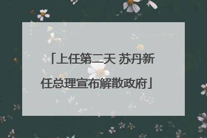 上任第二天 苏丹新任总理宣布解散政府