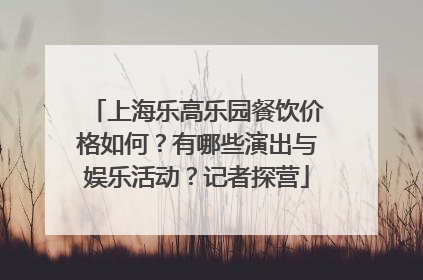 上海乐高乐园餐饮价格如何？有哪些演出与娱乐活动？记者探营