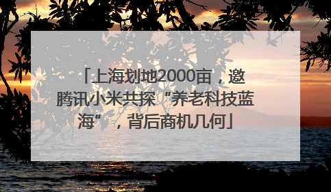 上海划地2000亩，邀腾讯小米共探“养老科技蓝海”，背后商机几何
