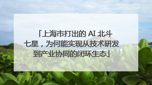 上海市打出的 AI 北斗七星，为何能实现从技术研发到产业协同的闭环生态