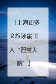 上海更多文旅场景引入“智慧大脑”