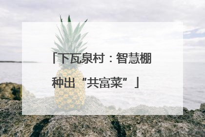 下瓦泉村：智慧棚种出“共富菜”
