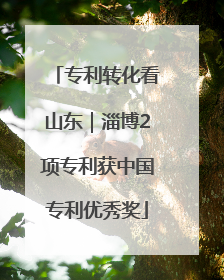 专利转化看山东｜淄博2项专利获中国专利优秀奖